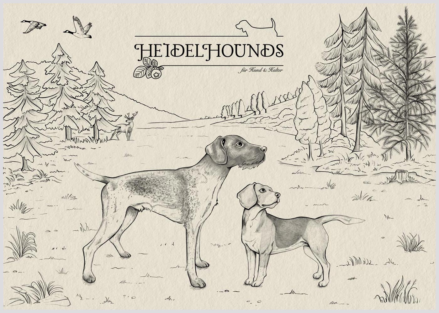Illustration Jagdhunde Heidelhounds